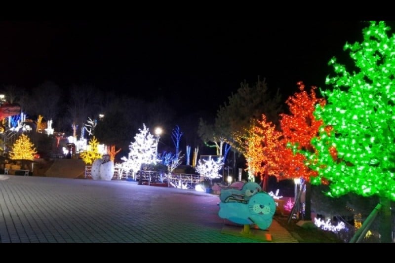 Namhae Butterfly Park  (1/20)