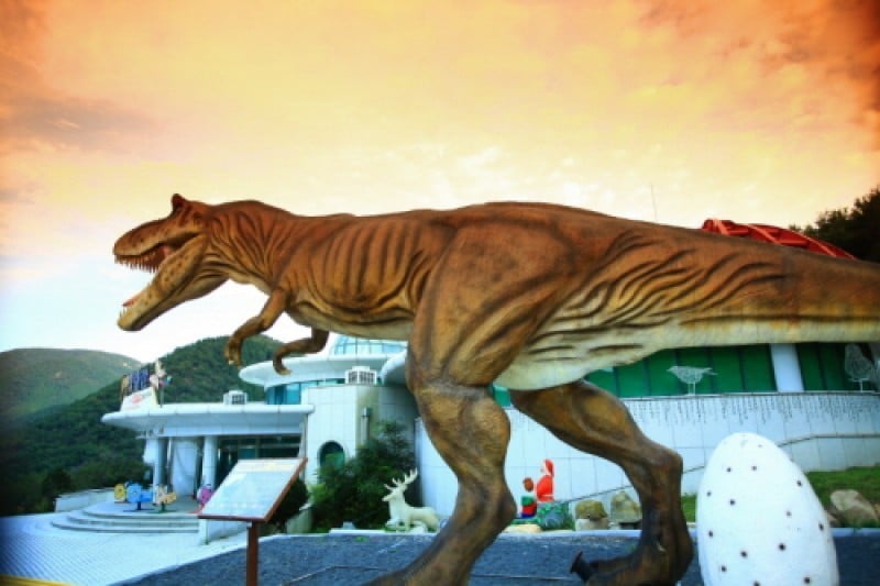 Namhae Butterfly Park  (4/20)