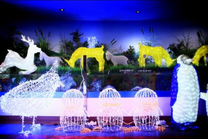 Namhae Butterfly Park  (6/20)