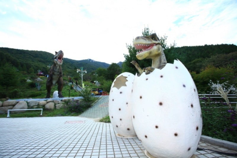 Namhae Butterfly Park  (8/20)