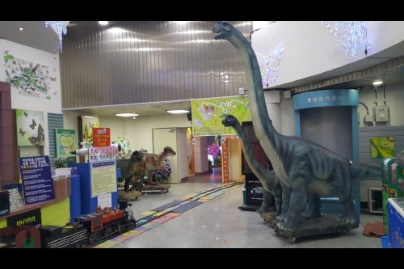 Namhae Butterfly Park  (10/20)