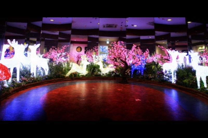 Namhae Butterfly Park  (11/20)