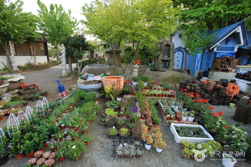 Haeoreum Art Village (해오름예술촌) (9/33)