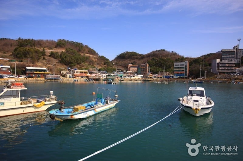 Suchi Beach  (3/5)