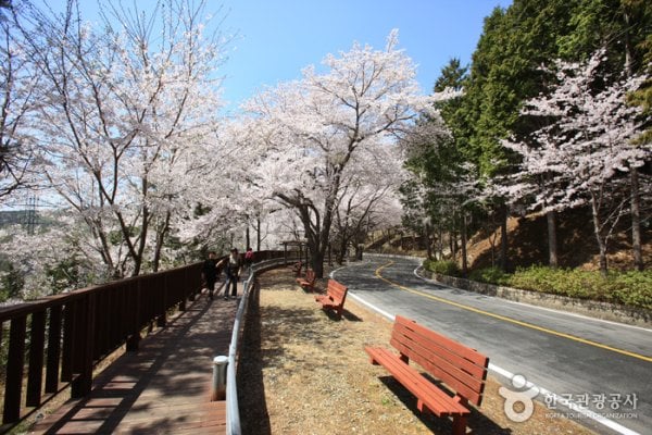 Anmingogae Hill