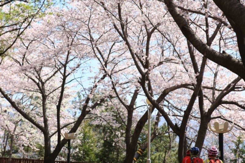Anmingogae Hill  (1/6)