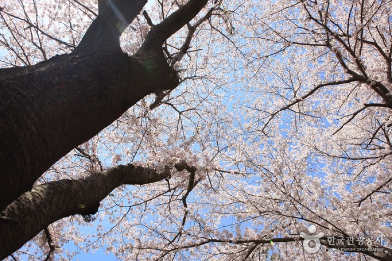 Anmingogae Hill  (2/6)