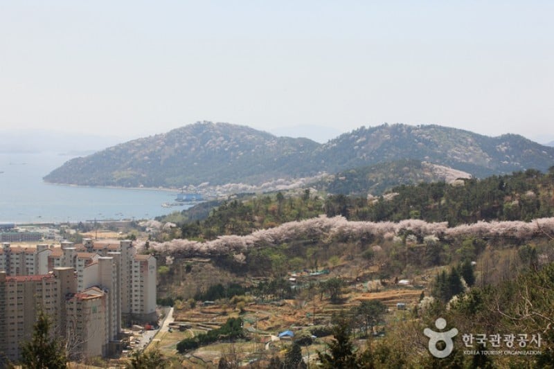 Anmingogae Hill  (3/6)