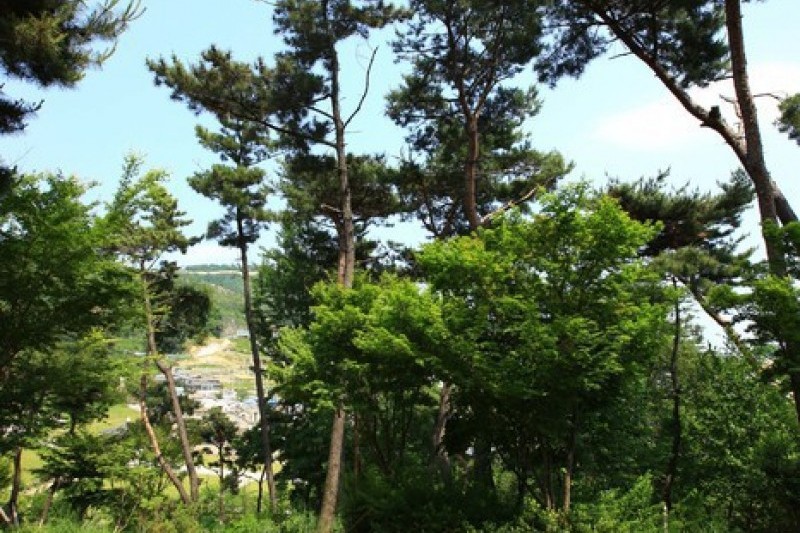 Gujibong Peak  (7/7)