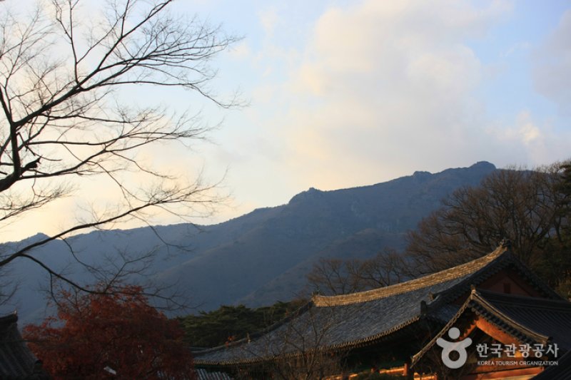 Yeongchuksan Mountain(영축산) (2/8)