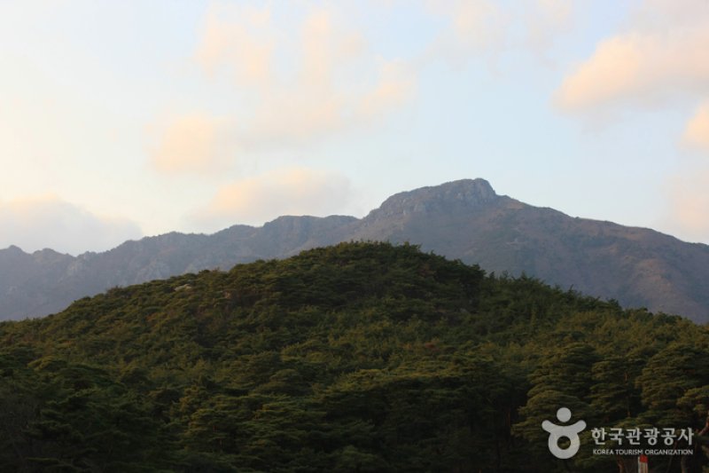 Yeongchuksan Mountain(영축산) (4/8)