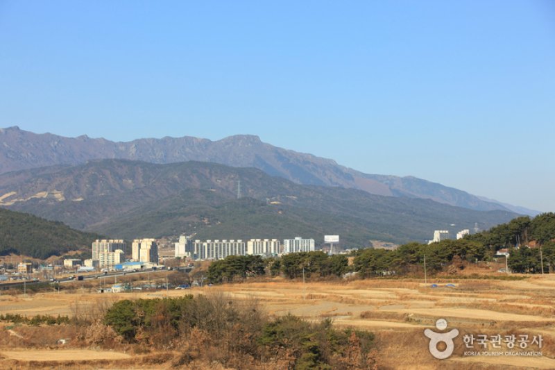 Yeongchuksan Mountain(영축산) (7/8)