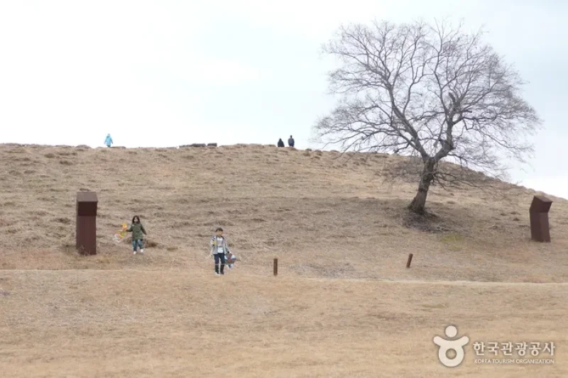 Daeseong-dong Tombs Museum  (2/4)