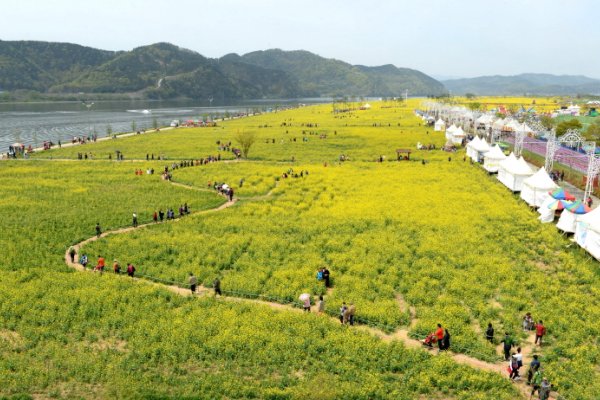 Changnyeong Nakdonggang Youchae Festival