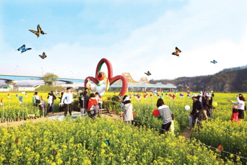 Changnyeong Nakdonggang Youchae Festival  (1/4)