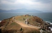 Windy Hill 