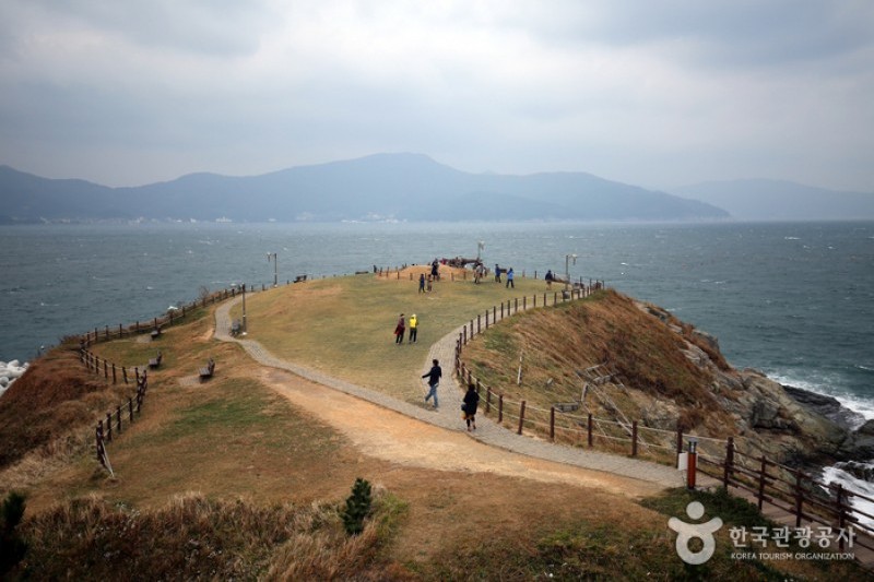 Windy Hill  (1/13)