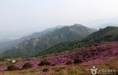 Hwangmaesan Mountain 