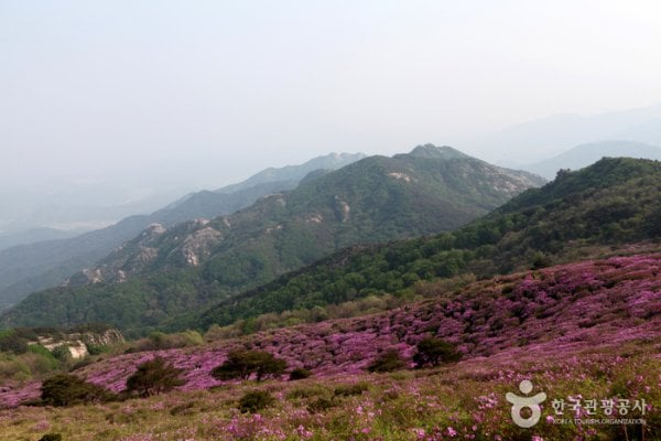 Hwangmaesan Mountain