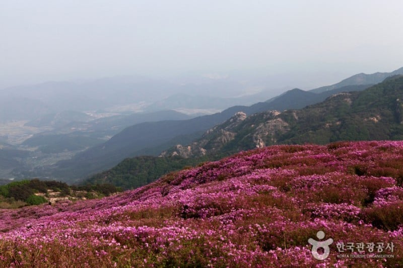 Hwangmaesan Mountain  (2/12)