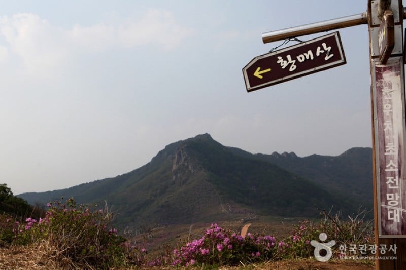 Hwangmaesan Mountain  (3/12)