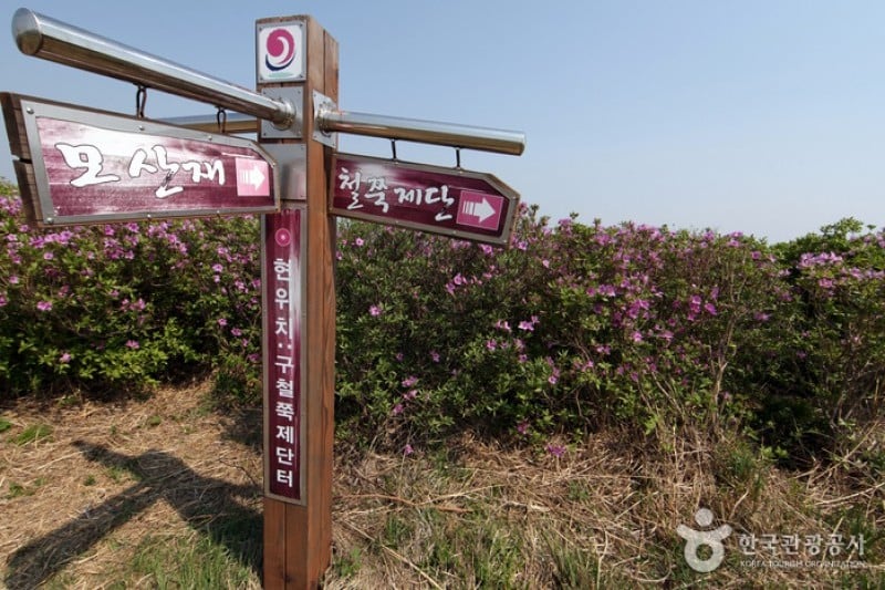 Hwangmaesan Mountain  (7/12)
