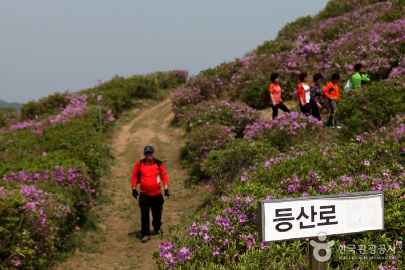Hwangmaesan Mountain  (9/12)