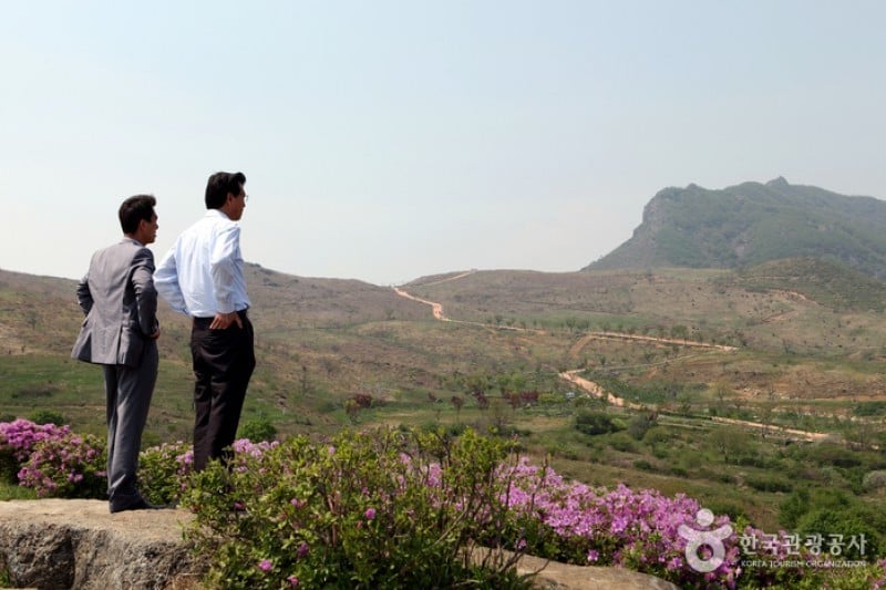Hwangmaesan Mountain  (10/12)
