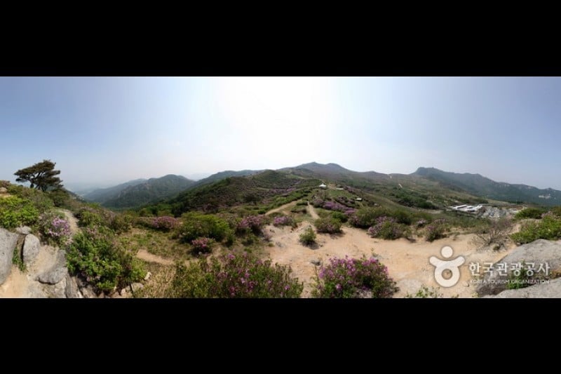 Hwangmaesan Mountain  (12/12)
