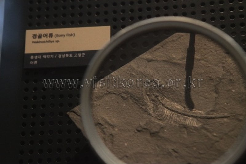 Miryang Museum (밀양시립박물관) (10/12)
