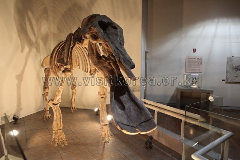 Miryang Museum (밀양시립박물관) (11/12)