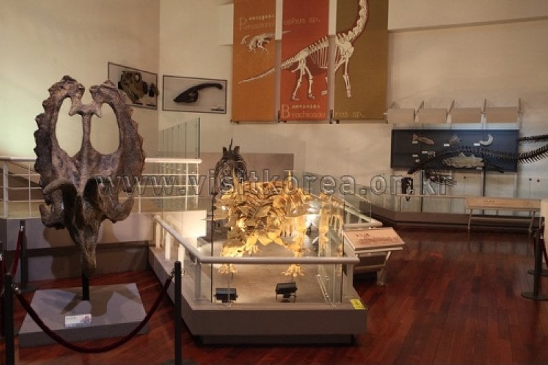 Miryang Museum (밀양시립박물관) (12/12)