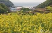 Dumo Village (두모마을)