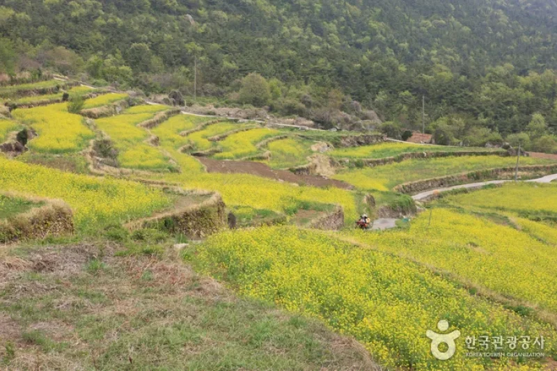Dumo Village (두모마을) (2/13)