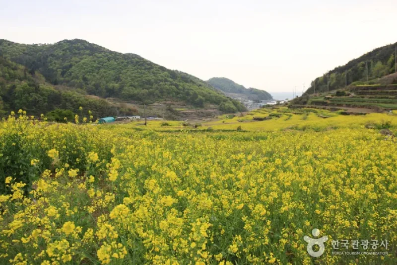 Dumo Village (두모마을) (3/13)