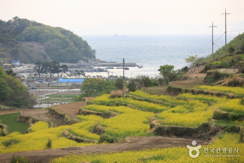Dumo Village (두모마을) (4/13)