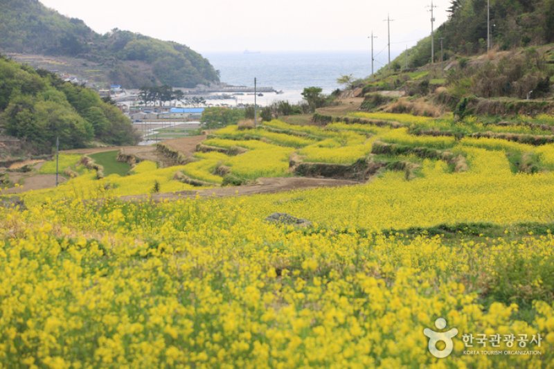 Dumo Village (두모마을) (5/13)