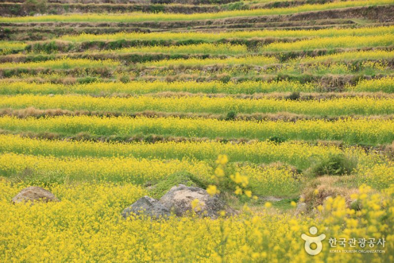 Dumo Village (두모마을) (6/13)