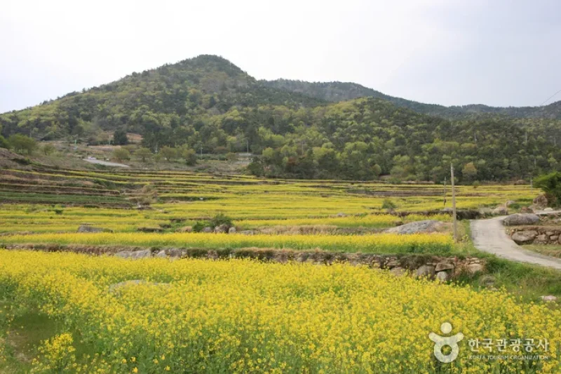 Dumo Village (두모마을) (8/13)