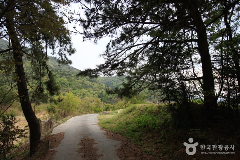 Dumo Village (두모마을) (10/13)