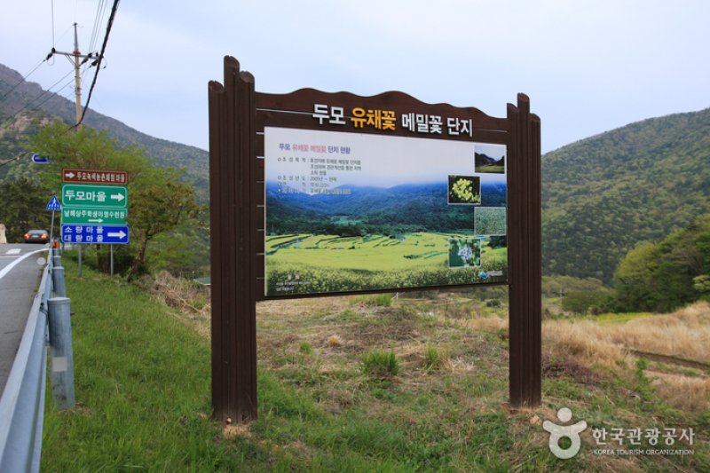 Dumo Village (두모마을) (11/13)