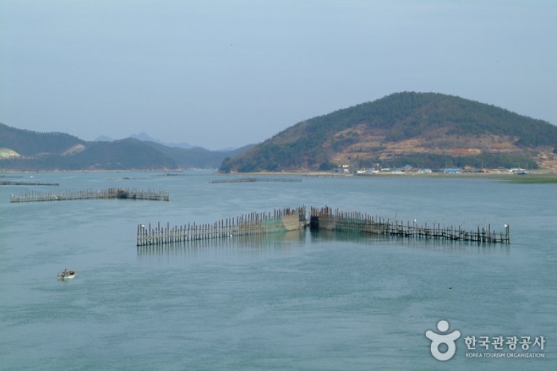 Jukbangryeom (죽방렴) (1/8)