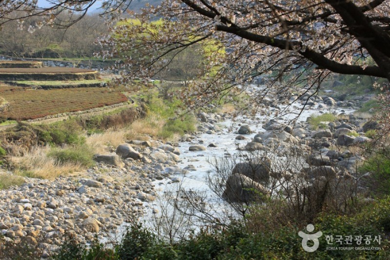 Simni  (16/20)