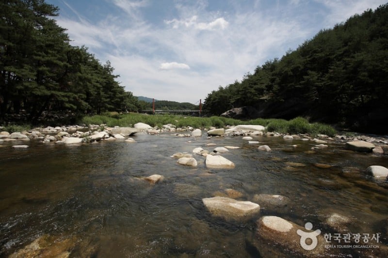 Suseungdae Park  (3/18)
