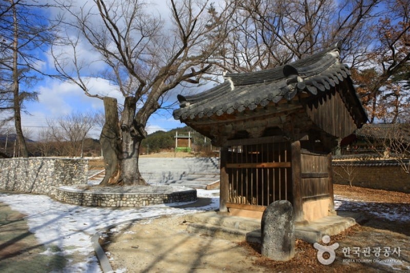Suseungdae Park  (11/18)