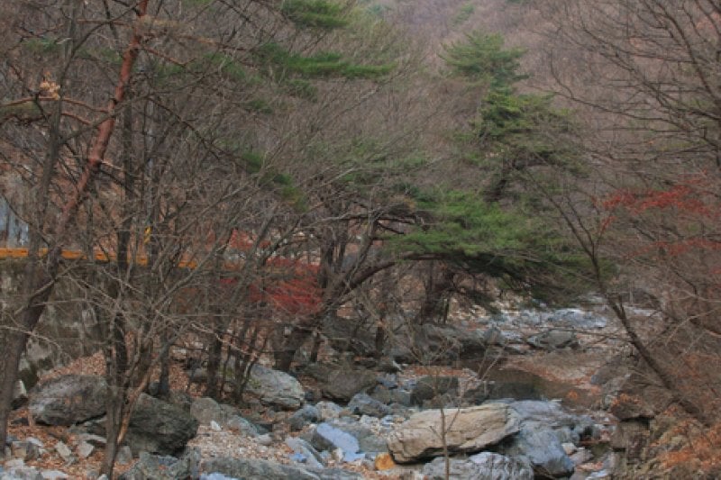 Naewonsa Valley (내원사계곡) (7/13)