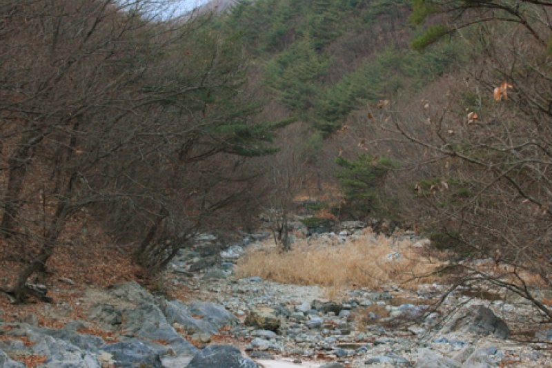 Naewonsa Valley (내원사계곡) (9/13)