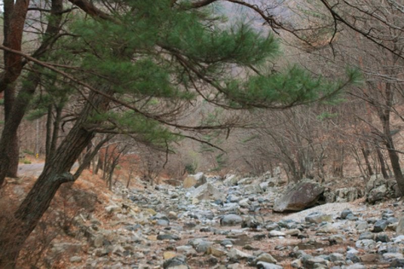 Naewonsa Valley (내원사계곡) (13/13)
