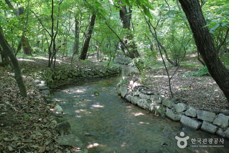 Sangnim Park  (1/12)