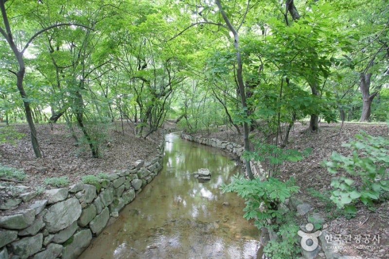 Sangnim Park  (2/12)